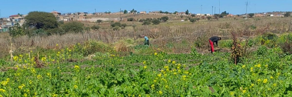 Motswikiya co-operative