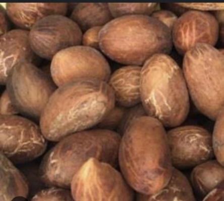 Frankod global ventures