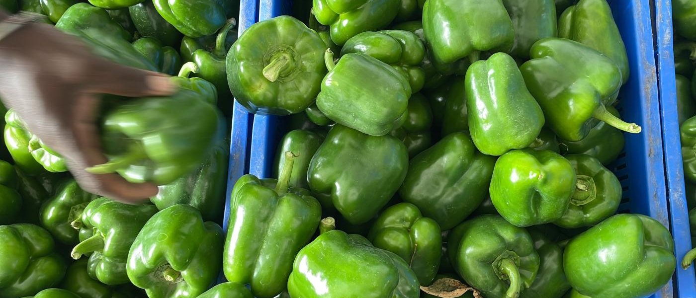 Peppers