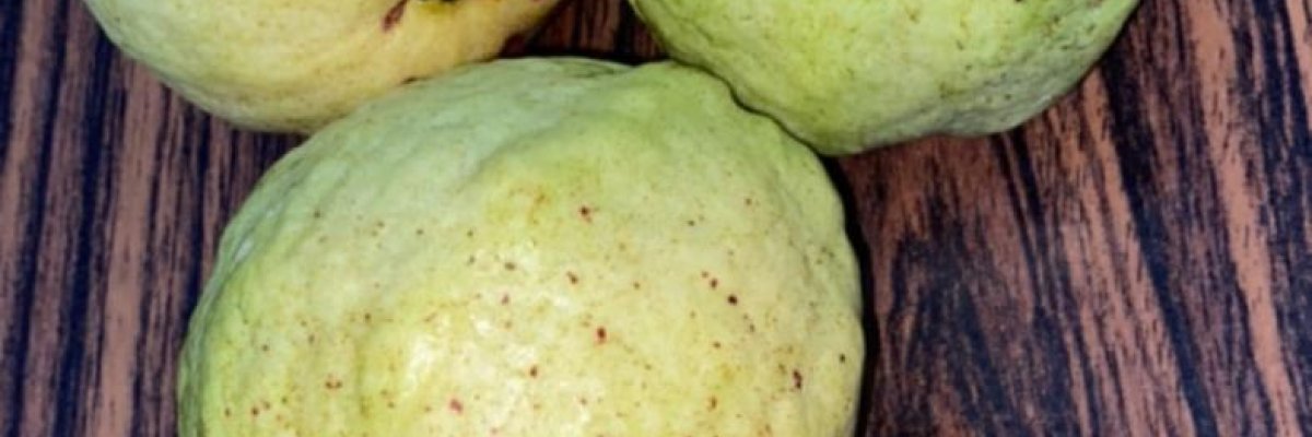 Savitaâ€™s Farm