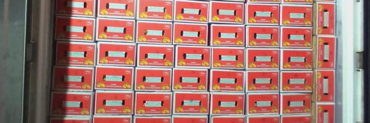 Sargodha orange factory