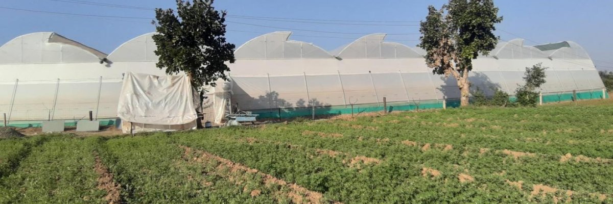 Shree shyam polyhouse