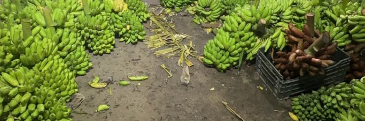 Sree Vignesh Traders