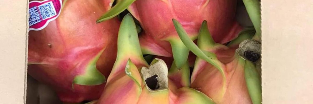 Ramesh fruit and vegetables mart