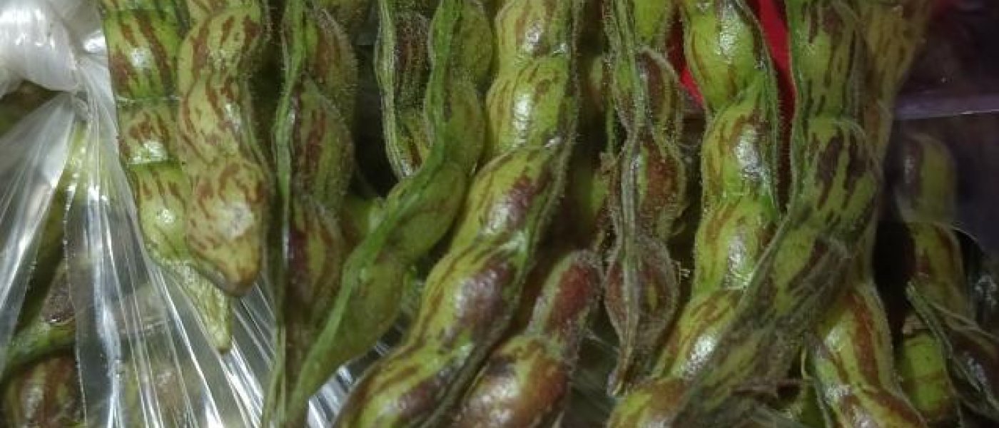 Indian pea