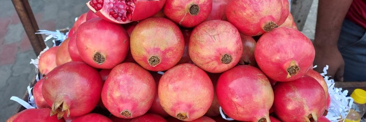 Sri lakshmipataladhamma fruits shop