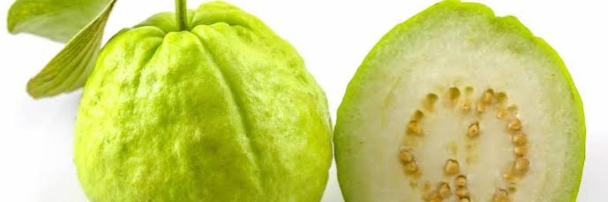 Guava for better health