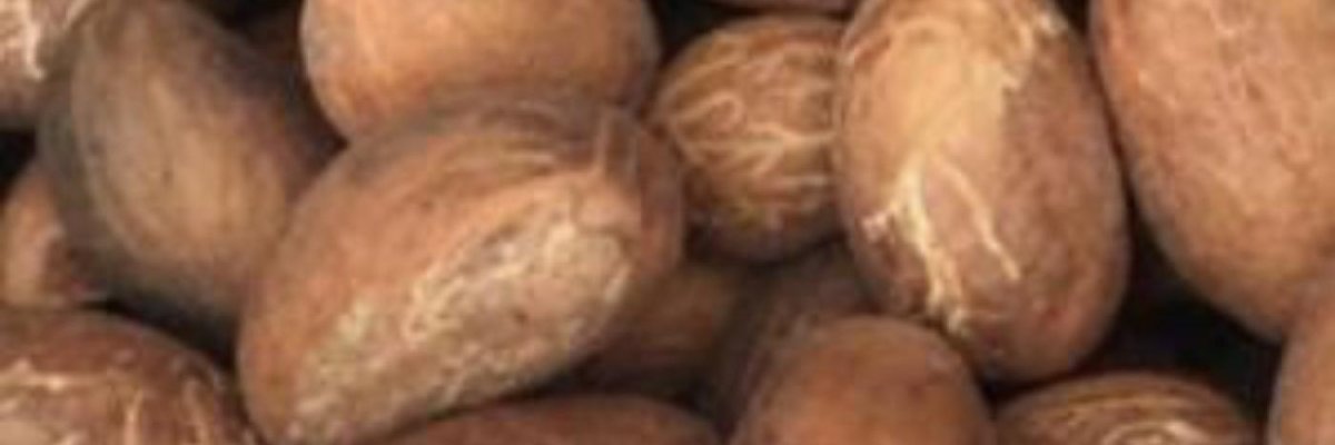 Frankod global ventures