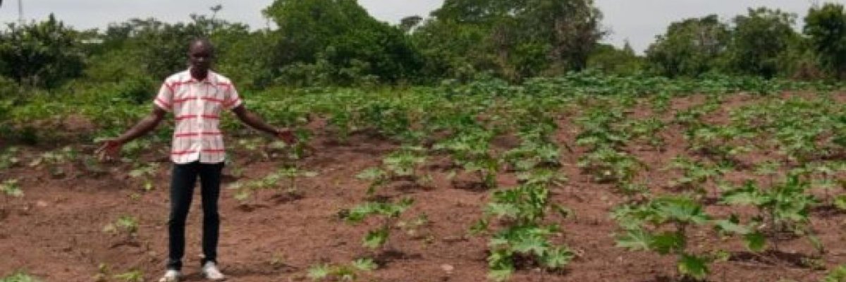 SÃ´lt Africana Limited