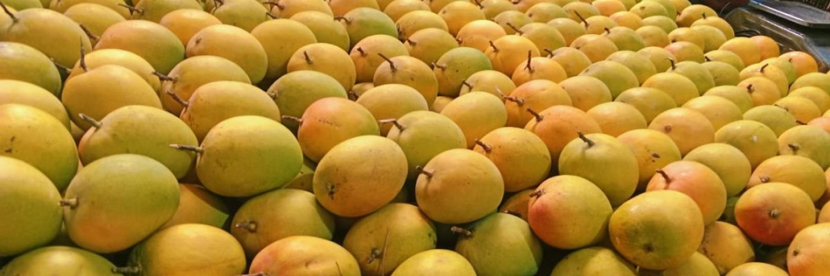 SIDDHESH AGRO PRODUCTS