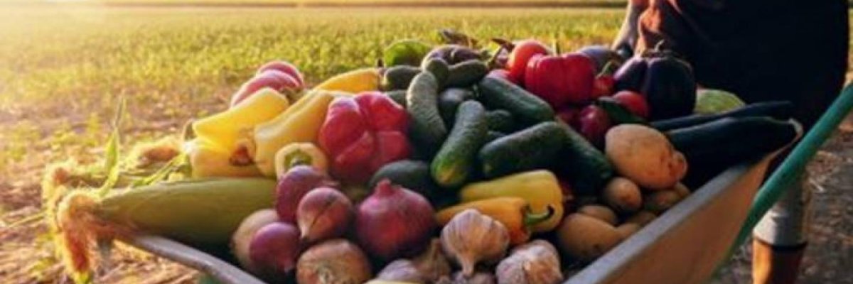 Kalabile Agro Business Ltd