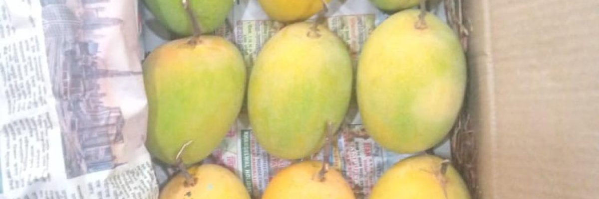 Parishna Konkan Swad