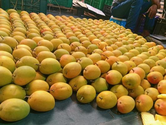 SIDDHESH AGRO PRODUCTS