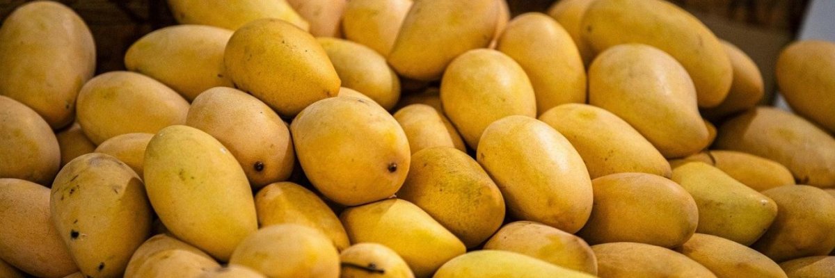 P G.R FRUITS COMPANY