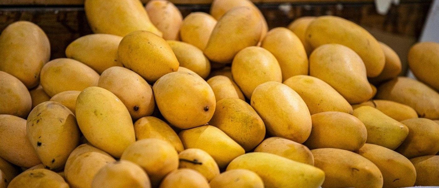 Banganapalle Mango