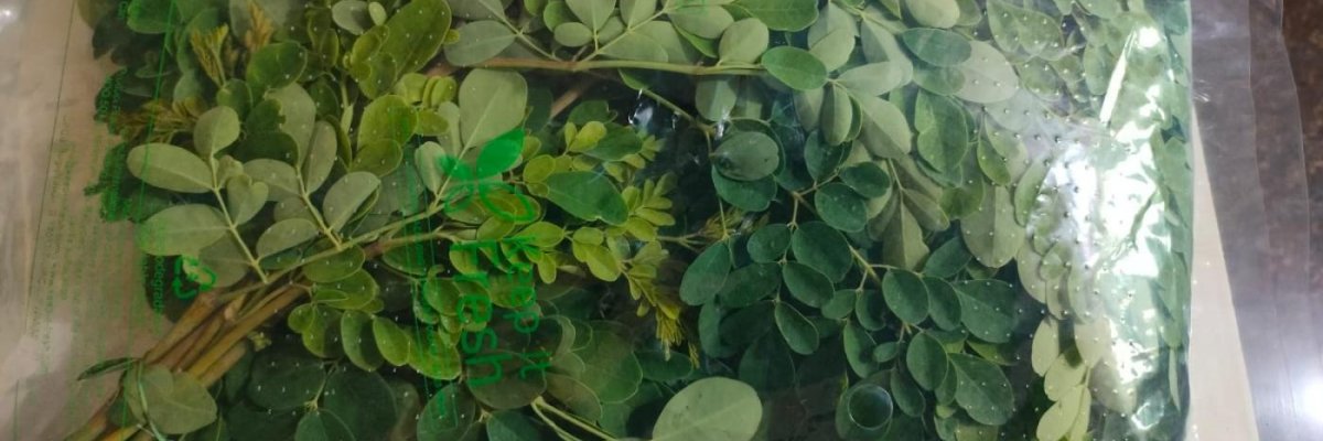 Drumstick leaves/moringa leaves