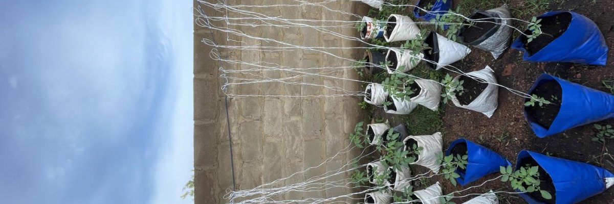 Majik farms agro allied