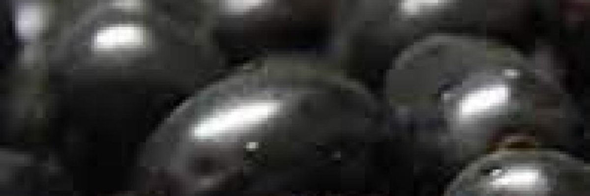 Nitesh Mango kernels