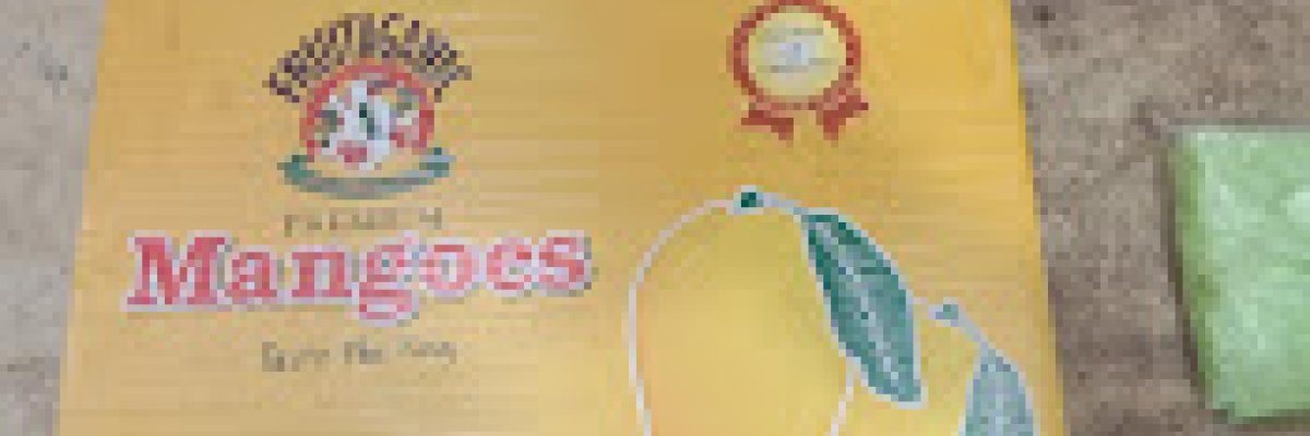 Punjabfruitandvegetable