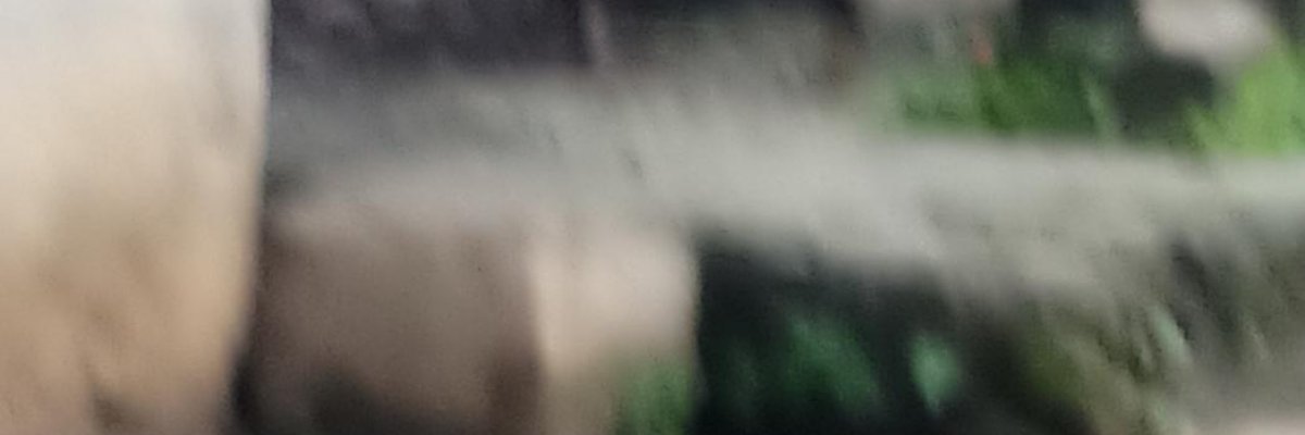 Johnson's farm produce