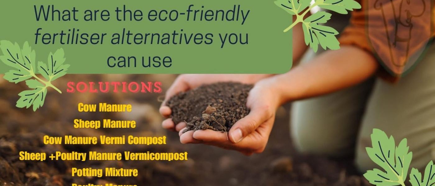 Sheep Manure