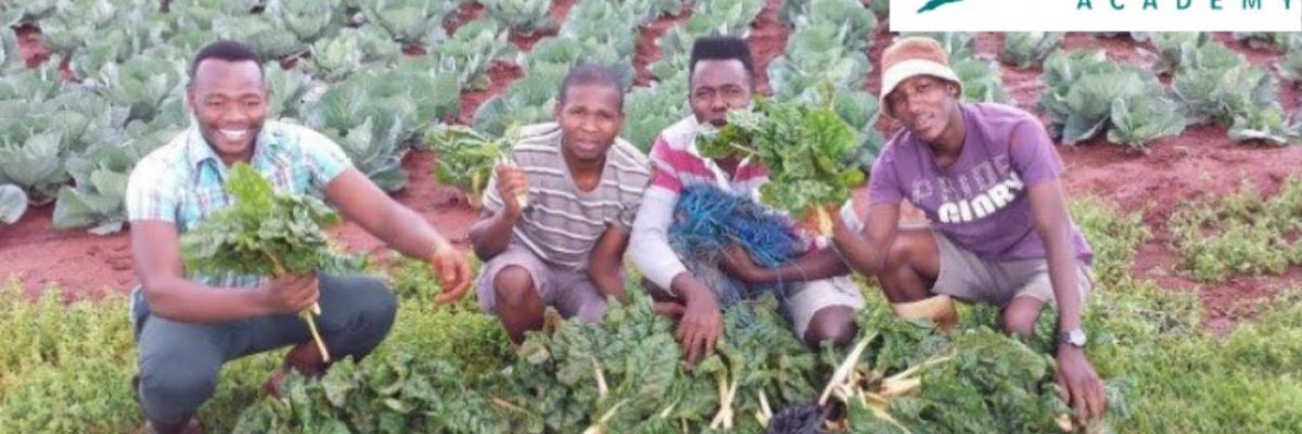 Buhle Farmer academy