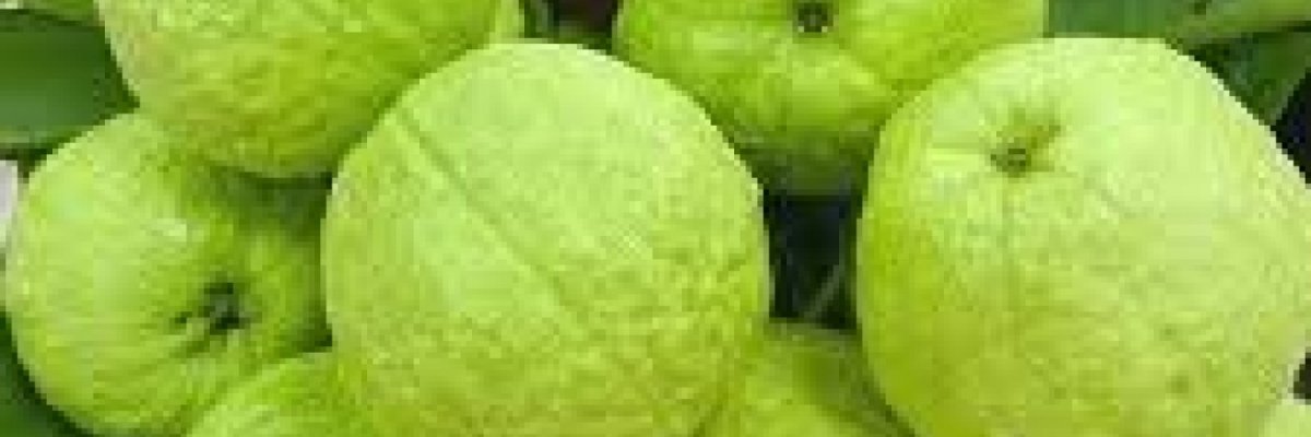 Sai traders and Export