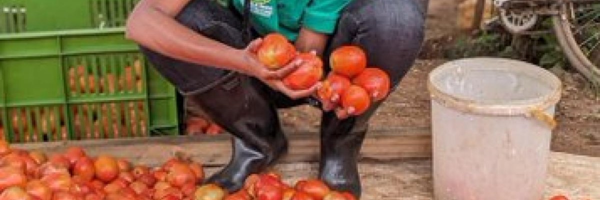 MOBIGREEN GROUPE Ltd