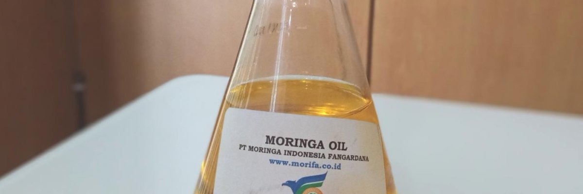 Moringa Indonesia Fangardana
