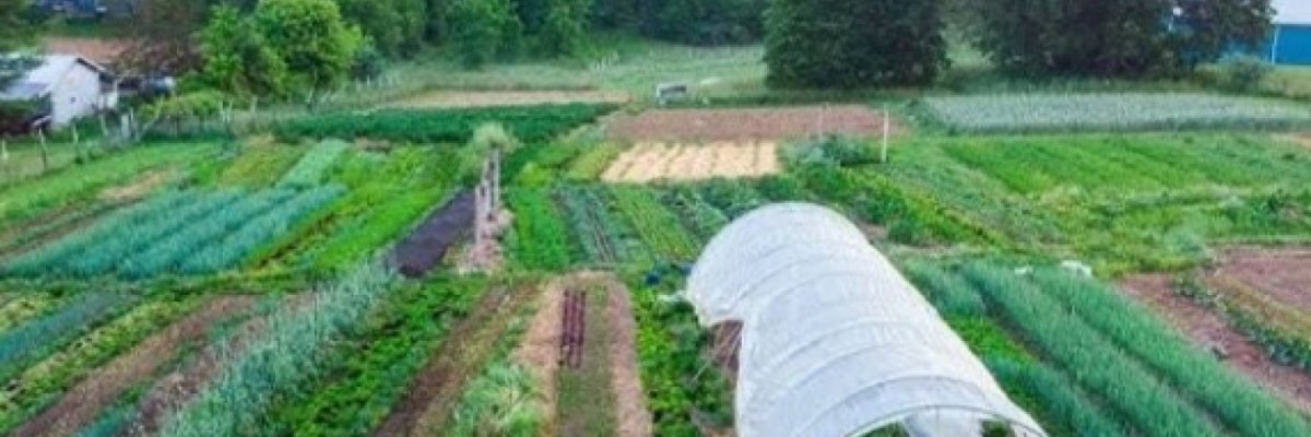 BANIKS FARM SERVICES