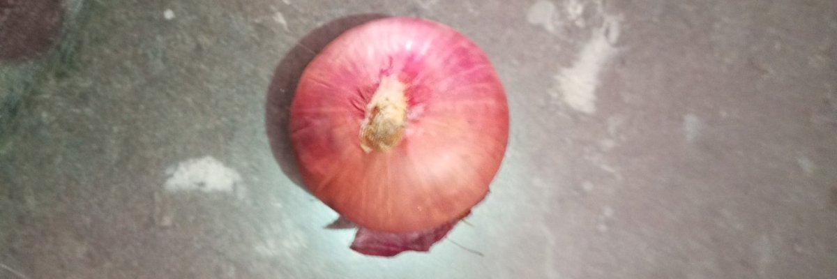 à²ˆà²°à³à²³à³à²³à²¿