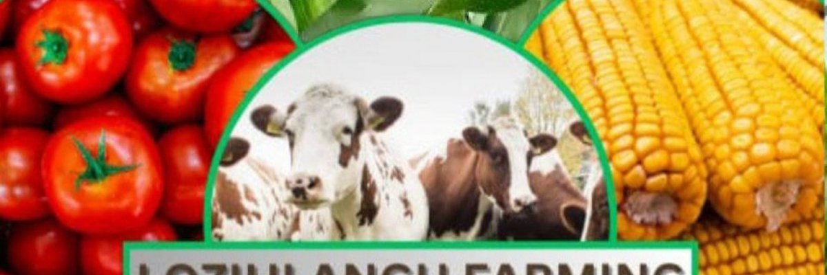 Lozihlangu farming
