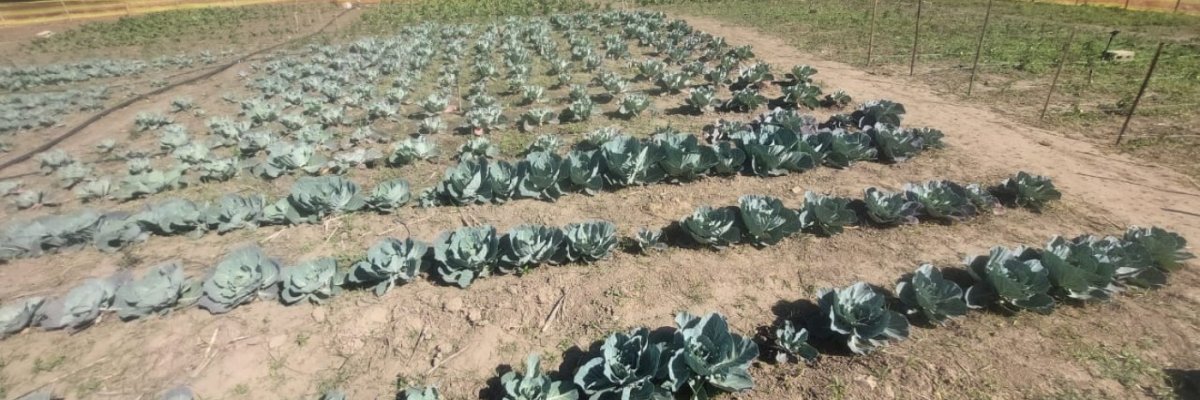 Improx Technologies t/a Farm 7