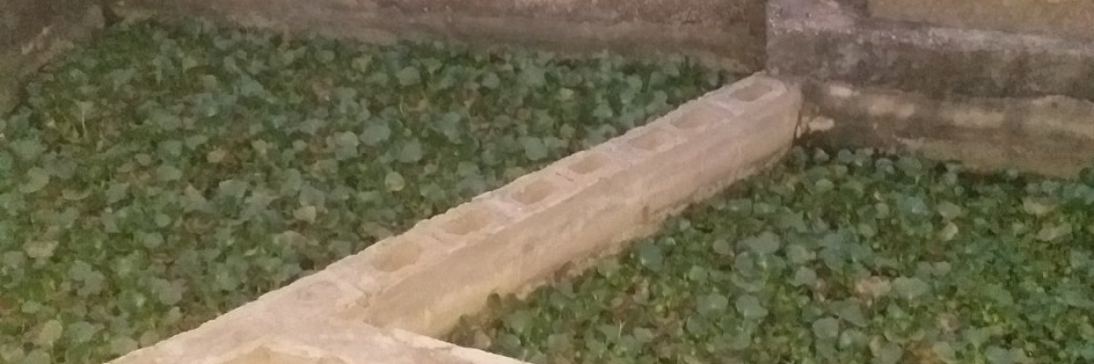 Deesina konsult limited