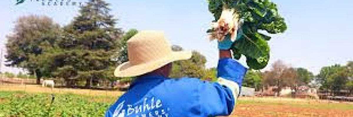 Buhle Farmers' Academy