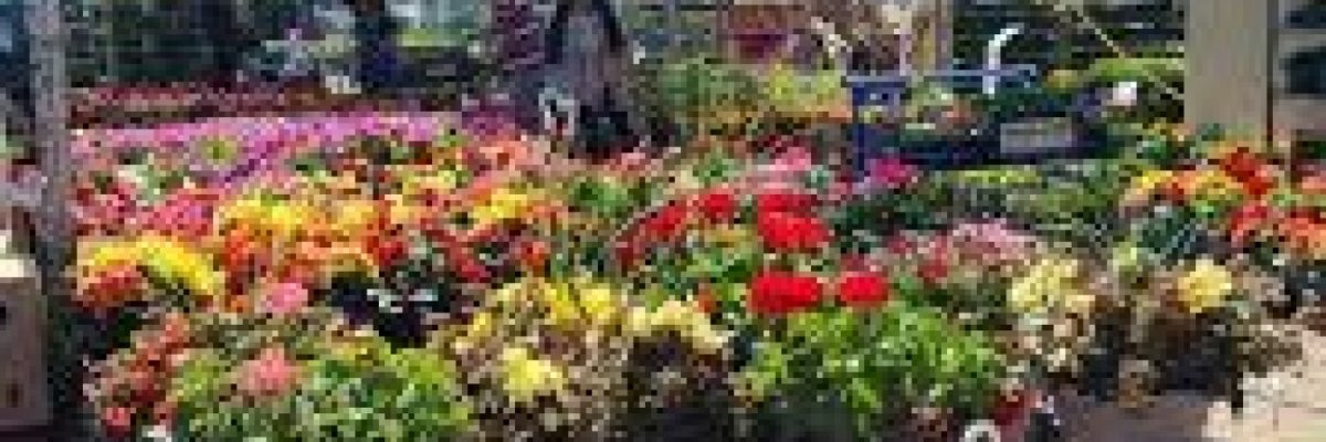 The Best vegetables and fruits shop