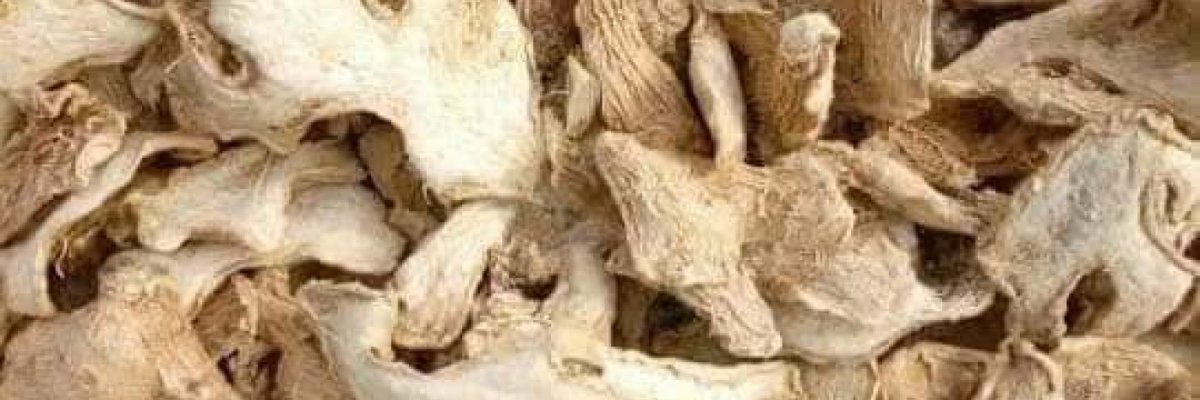 THE SOURCE OF BLESSING LTD