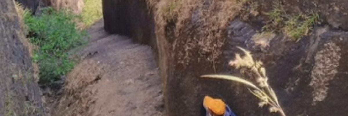 Shri brinjal supplier