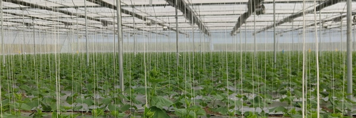 PushpaVardhan Agro LLP