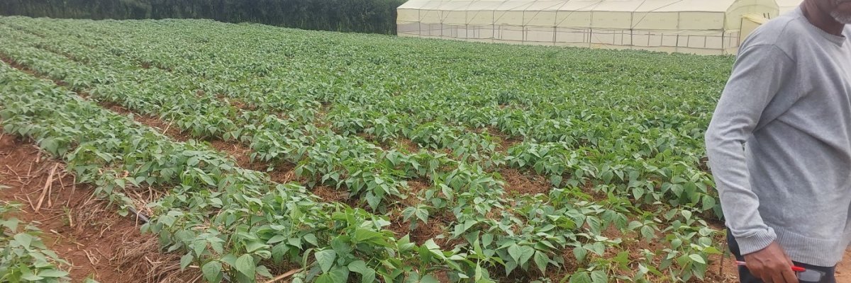 Nimaa Agriventures Ltd