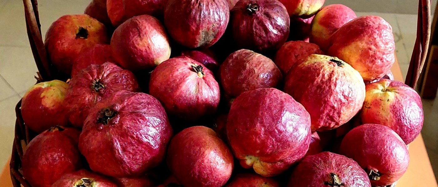 Organic Fruit
