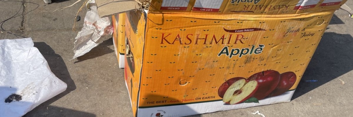 mahalaxi fruit traders