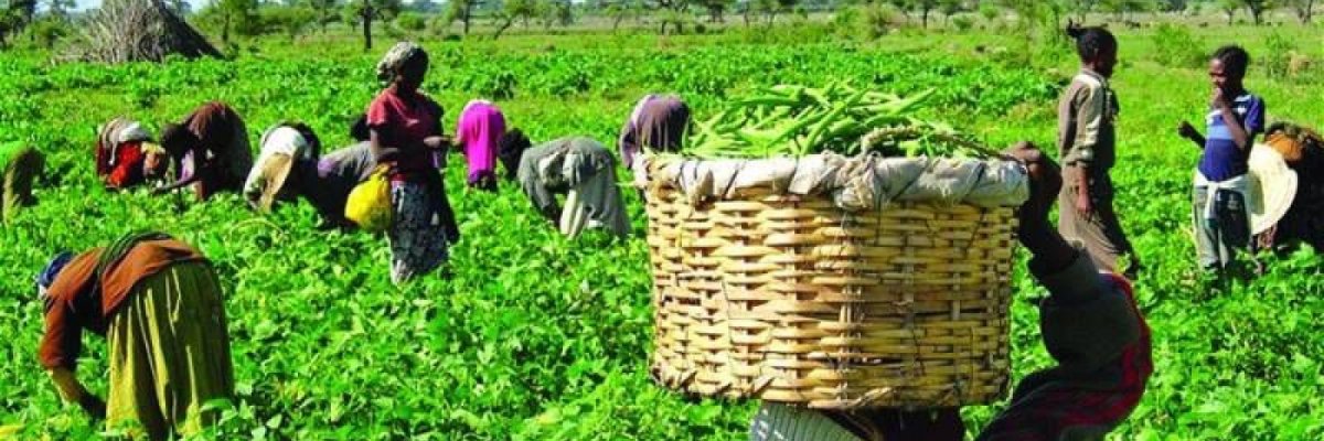 Francis Brothers Ltd