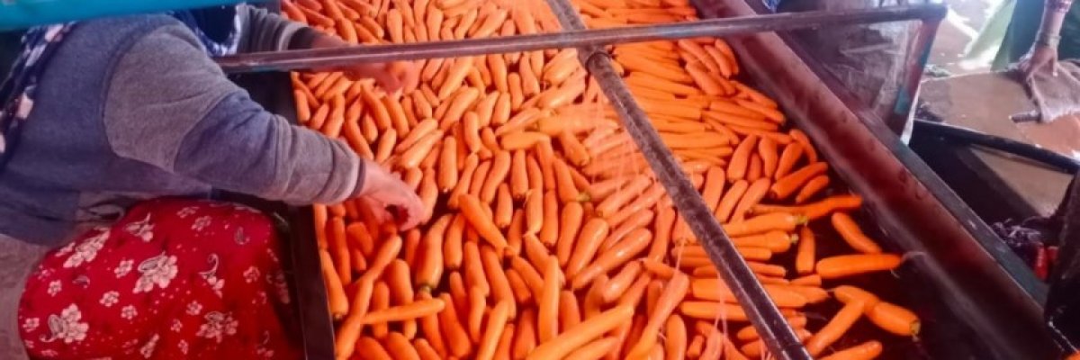 Queen Forever Agro Products