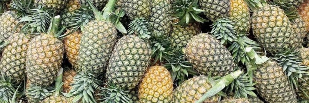 Advance Global Green Ltd