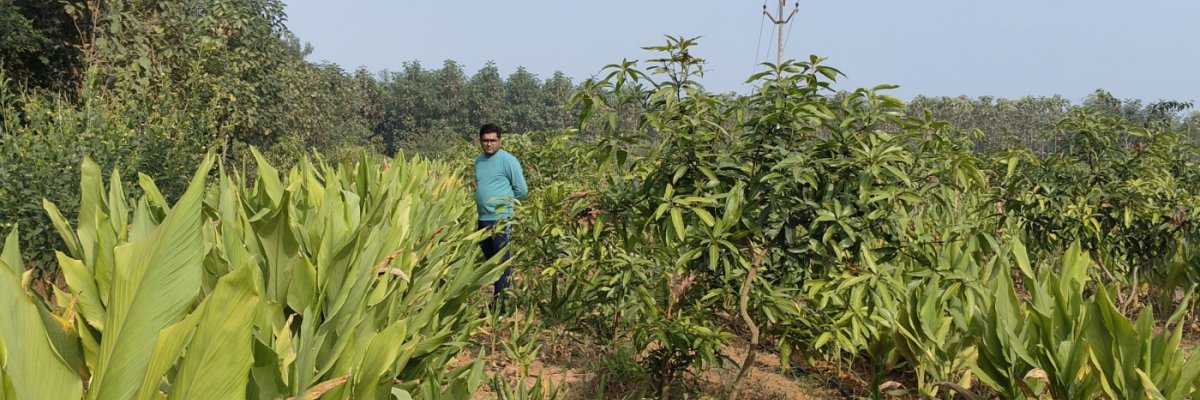 Vedanshiv organic farm
