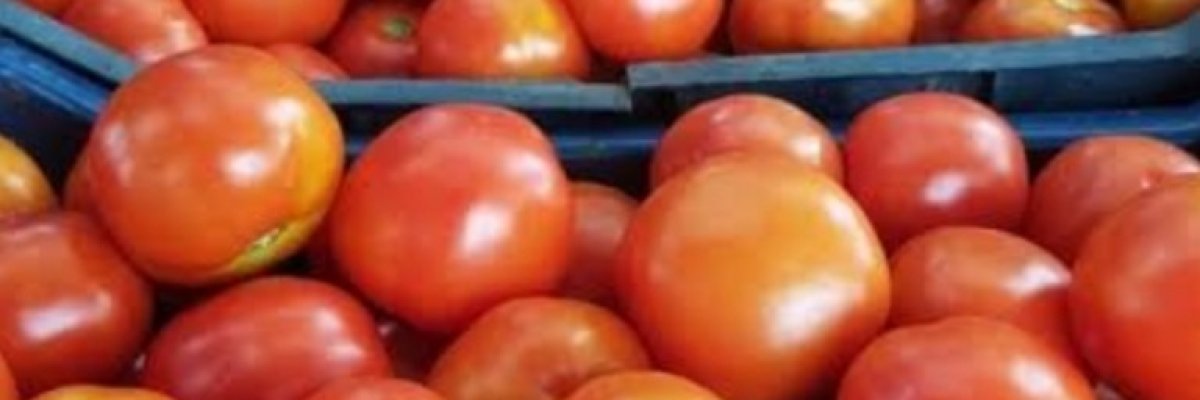 Shiv Shakti Enterprises