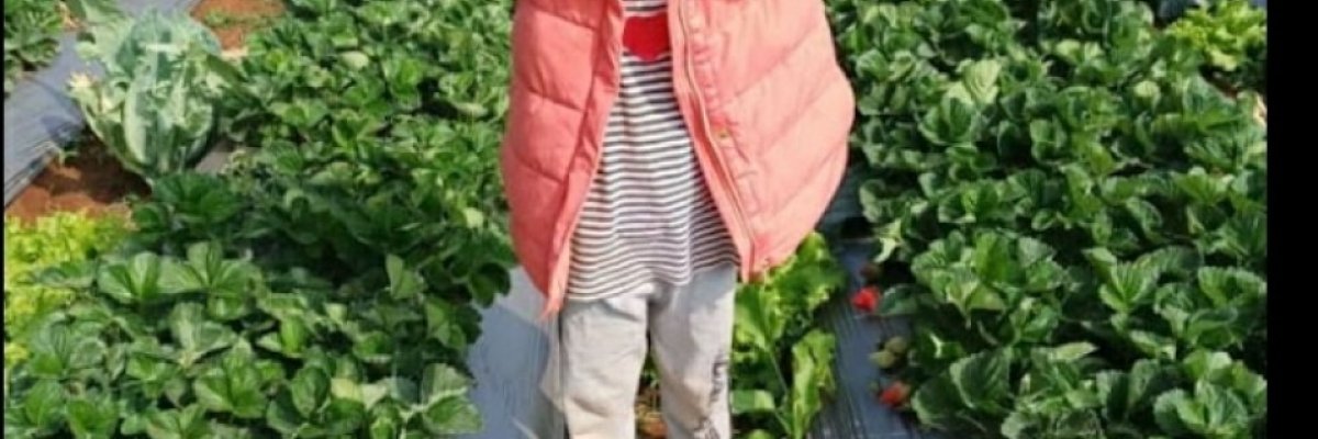 nalband dailyfresh berrys farm