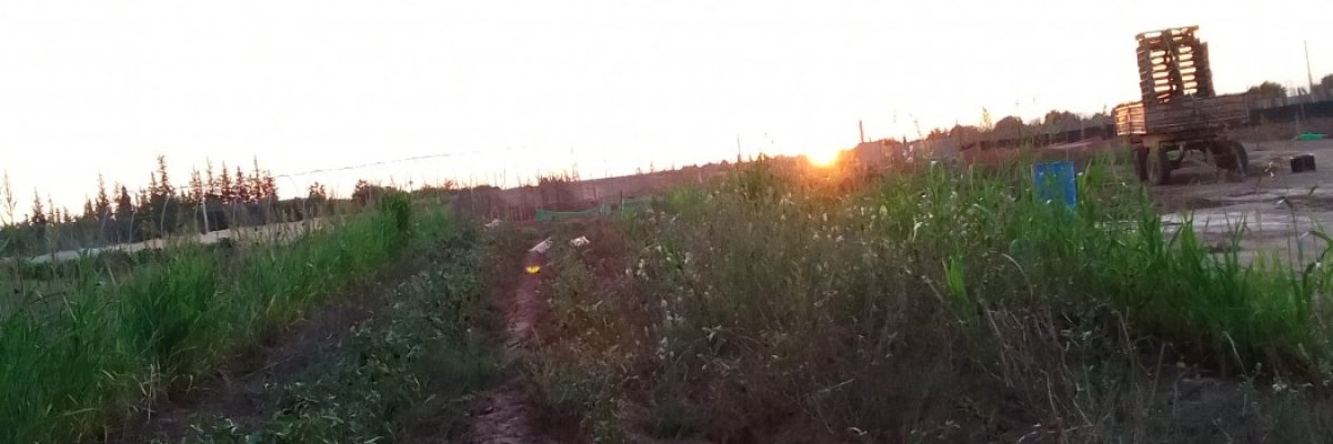 Les de élices de men jardin