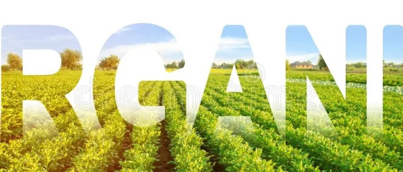 Organic Vegetables